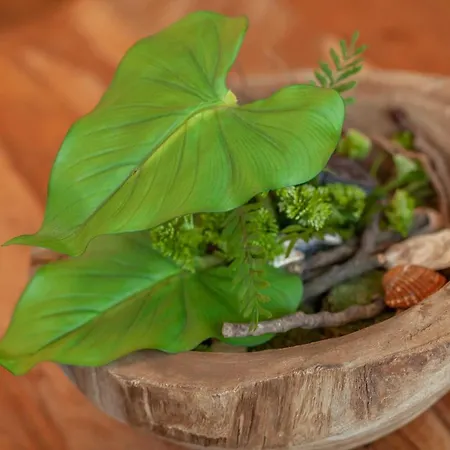 Strandlaeufer Mit Suedbalkon By Unsere Urlaubszeit Apartmán