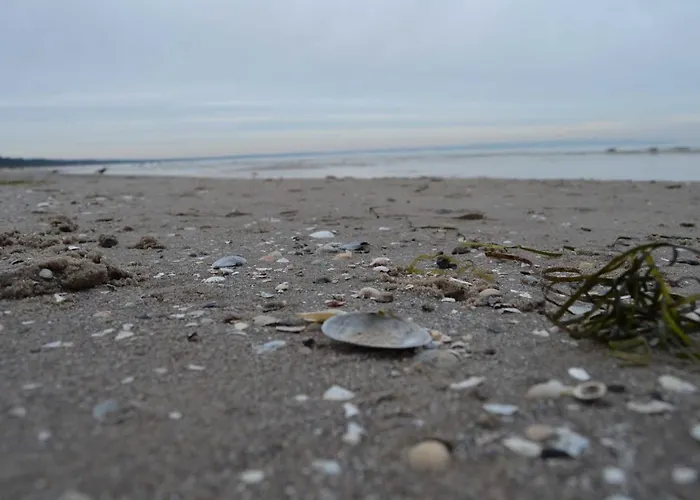 Lejlighed Strandlaeufer Mit Suedbalkon By Unsere Urlaubszeit *