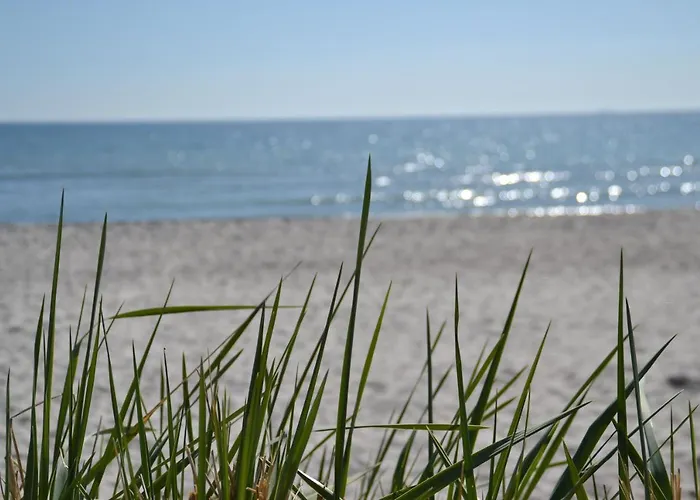 Strandlaeufer Mit Suedbalkon By Unsere Urlaubszeit Binz