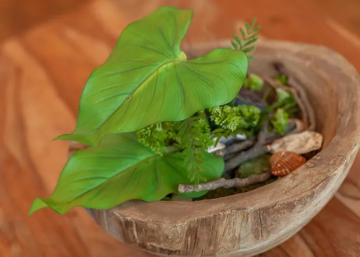 Strandlaeufer Mit Suedbalkon By Unsere Urlaubszeit Lejlighed